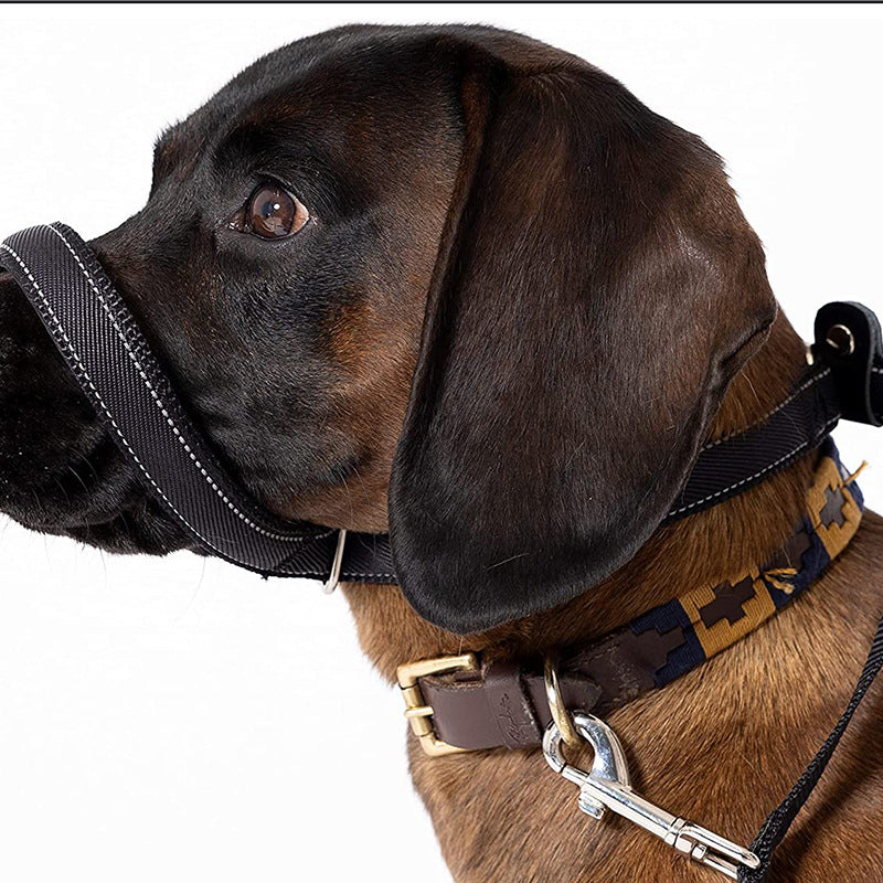 Flat Figure of 8 Dog Lead with Padding – Stop Pulling & Take Back Control